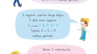 1. Sınıf Matematik MHG Yayınları Sayfa 124 Cevapları