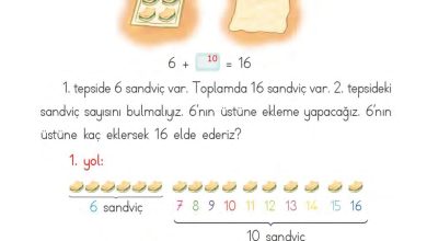 1. Sınıf Matematik MHG Yayınları Sayfa 127 Cevapları