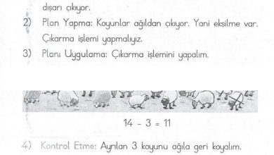 1. Sınıf Matematik MHG Yayınları Sayfa 133 Cevapları