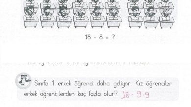 1. Sınıf Matematik MHG Yayınları Sayfa 134 Cevapları