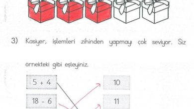 1. Sınıf Matematik MHG Yayınları Sayfa 137 Cevapları