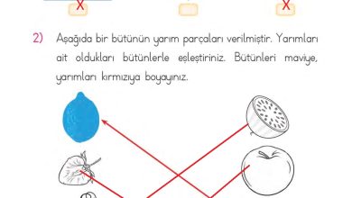 1. Sınıf Matematik MHG Yayınları Sayfa 142 Cevapları