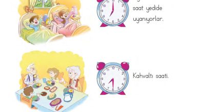 1. Sınıf Matematik MHG Yayınları Sayfa 145 Cevapları