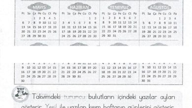 1. Sınıf Matematik MHG Yayınları Sayfa 147 Cevapları