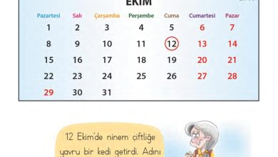 1. Sınıf Matematik MHG Yayınları Sayfa 148 Cevapları