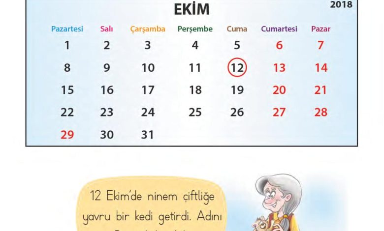 1. Sınıf Matematik MHG Yayınları Sayfa 148 Cevapları