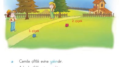 1. Sınıf Matematik MHG Yayınları Sayfa 15 Cevapları