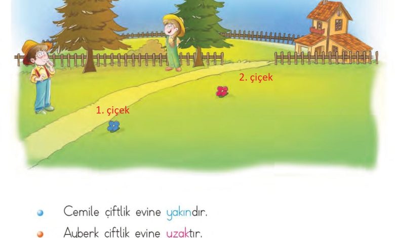 1. Sınıf Matematik MHG Yayınları Sayfa 15 Cevapları