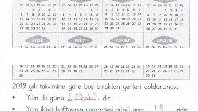 1. Sınıf Matematik MHG Yayınları Sayfa 150 Cevapları