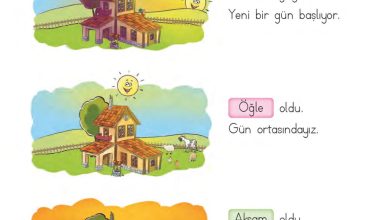 1. Sınıf Matematik MHG Yayınları Sayfa 151 Cevapları