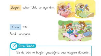 1. Sınıf Matematik MHG Yayınları Sayfa 155 Cevapları