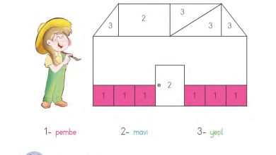 1. Sınıf Matematik MHG Yayınları Sayfa 157 Cevapları