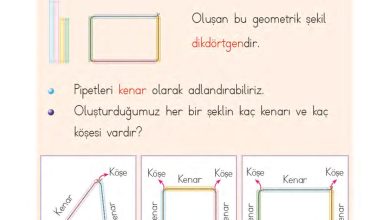 1. Sınıf Matematik MHG Yayınları Sayfa 159 Cevapları