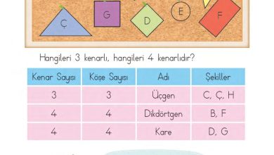 1. Sınıf Matematik MHG Yayınları Sayfa 161 Cevapları