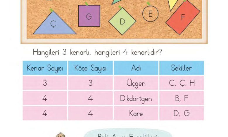 1. Sınıf Matematik MHG Yayınları Sayfa 161 Cevapları