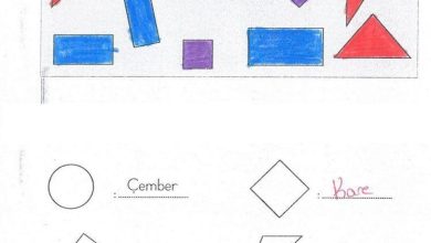 1. Sınıf Matematik MHG Yayınları Sayfa 163 Cevapları