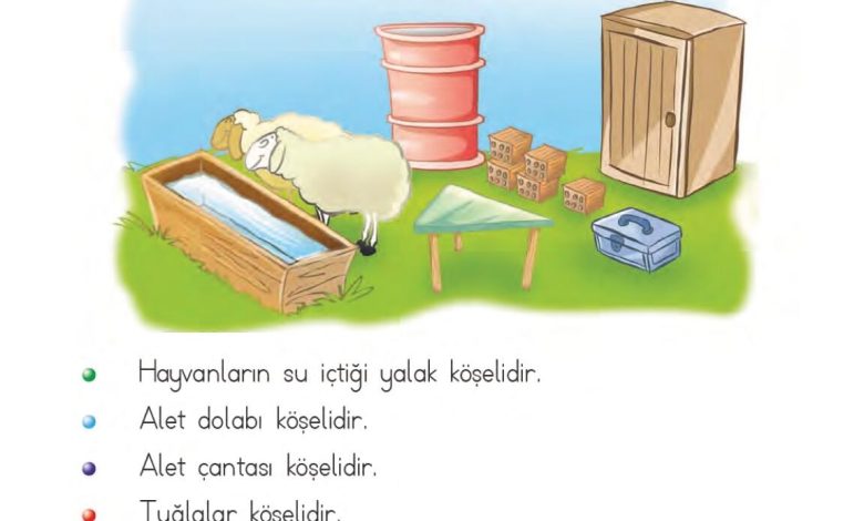 1. Sınıf Matematik MHG Yayınları Sayfa 164 Cevapları