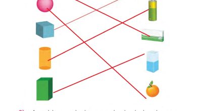 1. Sınıf Matematik MHG Yayınları Sayfa 170 Cevapları