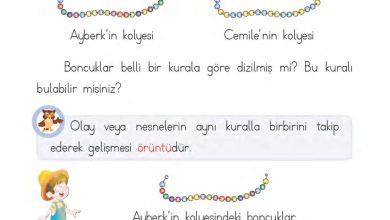 1. Sınıf Matematik MHG Yayınları Sayfa 172 Cevapları