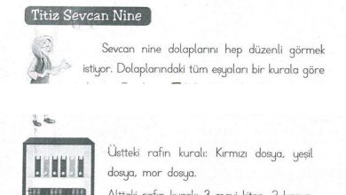 1. Sınıf Matematik MHG Yayınları Sayfa 173 Cevapları