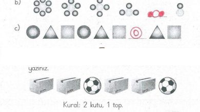 1. Sınıf Matematik MHG Yayınları Sayfa 174 Cevapları