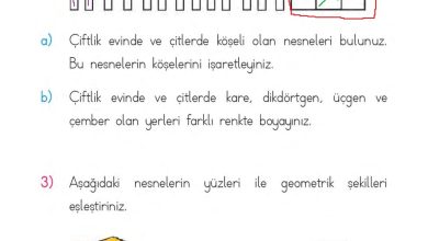 1. Sınıf Matematik MHG Yayınları Sayfa 176 Cevapları