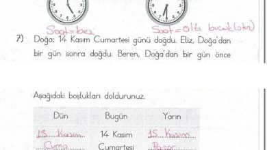 1. Sınıf Matematik MHG Yayınları Sayfa 178 Cevapları