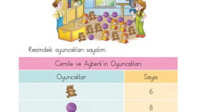 1. Sınıf Matematik MHG Yayınları Sayfa 180 Cevapları