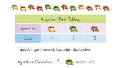 1. Sınıf Matematik MHG Yayınları Sayfa 181 Cevapları