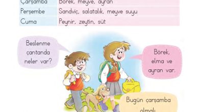 1. Sınıf Matematik MHG Yayınları Sayfa 182 Cevapları