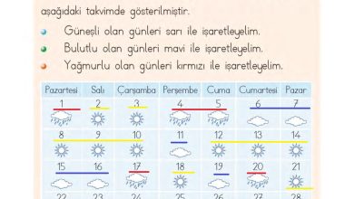 1. Sınıf Matematik MHG Yayınları Sayfa 184 Cevapları