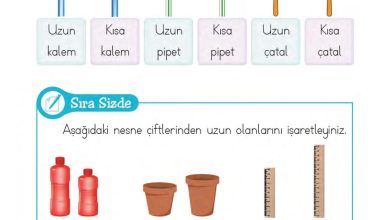 1. Sınıf Matematik MHG Yayınları Sayfa 187 Cevapları