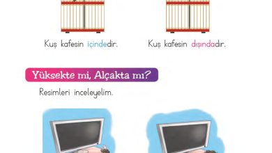 1. Sınıf Matematik MHG Yayınları Sayfa 19 Cevapları