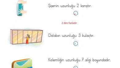 1. Sınıf Matematik MHG Yayınları Sayfa 193 Cevapları