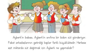 1. Sınıf Matematik MHG Yayınları Sayfa 199 Cevapları