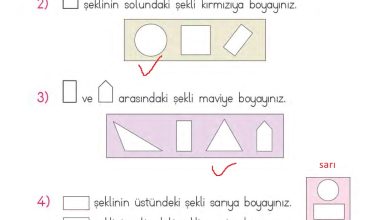 1. Sınıf Matematik MHG Yayınları Sayfa 20 Cevapları