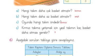 1. Sınıf Matematik MHG Yayınları Sayfa 203 Cevapları