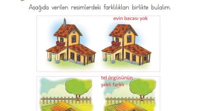 1. Sınıf Matematik MHG Yayınları Sayfa 21 Cevapları