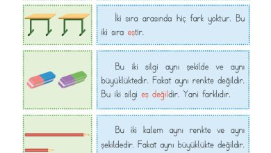 1. Sınıf Matematik MHG Yayınları Sayfa 22 Cevapları