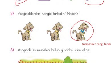 1. Sınıf Matematik MHG Yayınları Sayfa 24 Cevapları