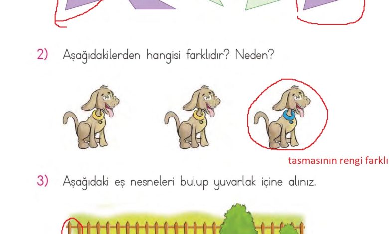 1. Sınıf Matematik MHG Yayınları Sayfa 24 Cevapları