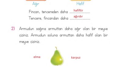 1. Sınıf Matematik MHG Yayınları Sayfa 30 Cevapları