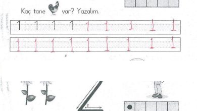 1. Sınıf Matematik MHG Yayınları Sayfa 35 Cevapları