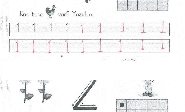 1. Sınıf Matematik MHG Yayınları Sayfa 35 Cevapları