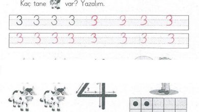 1. Sınıf Matematik MHG Yayınları Sayfa 36 Cevapları