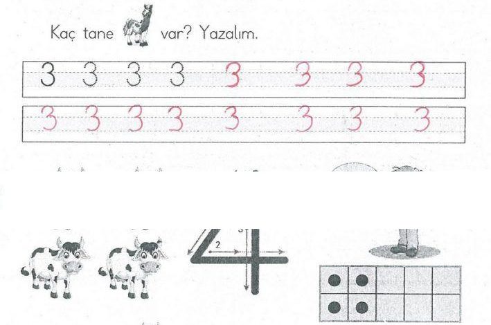 1. Sınıf Matematik MHG Yayınları Sayfa 36 Cevapları