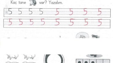 1. Sınıf Matematik MHG Yayınları Sayfa 37 Cevapları