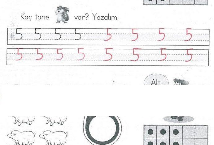 1. Sınıf Matematik MHG Yayınları Sayfa 37 Cevapları