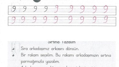 1. Sınıf Matematik MHG Yayınları Sayfa 39 Cevapları