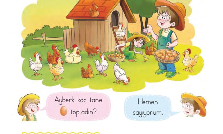 1. Sınıf Matematik MHG Yayınları Sayfa 41 Cevapları